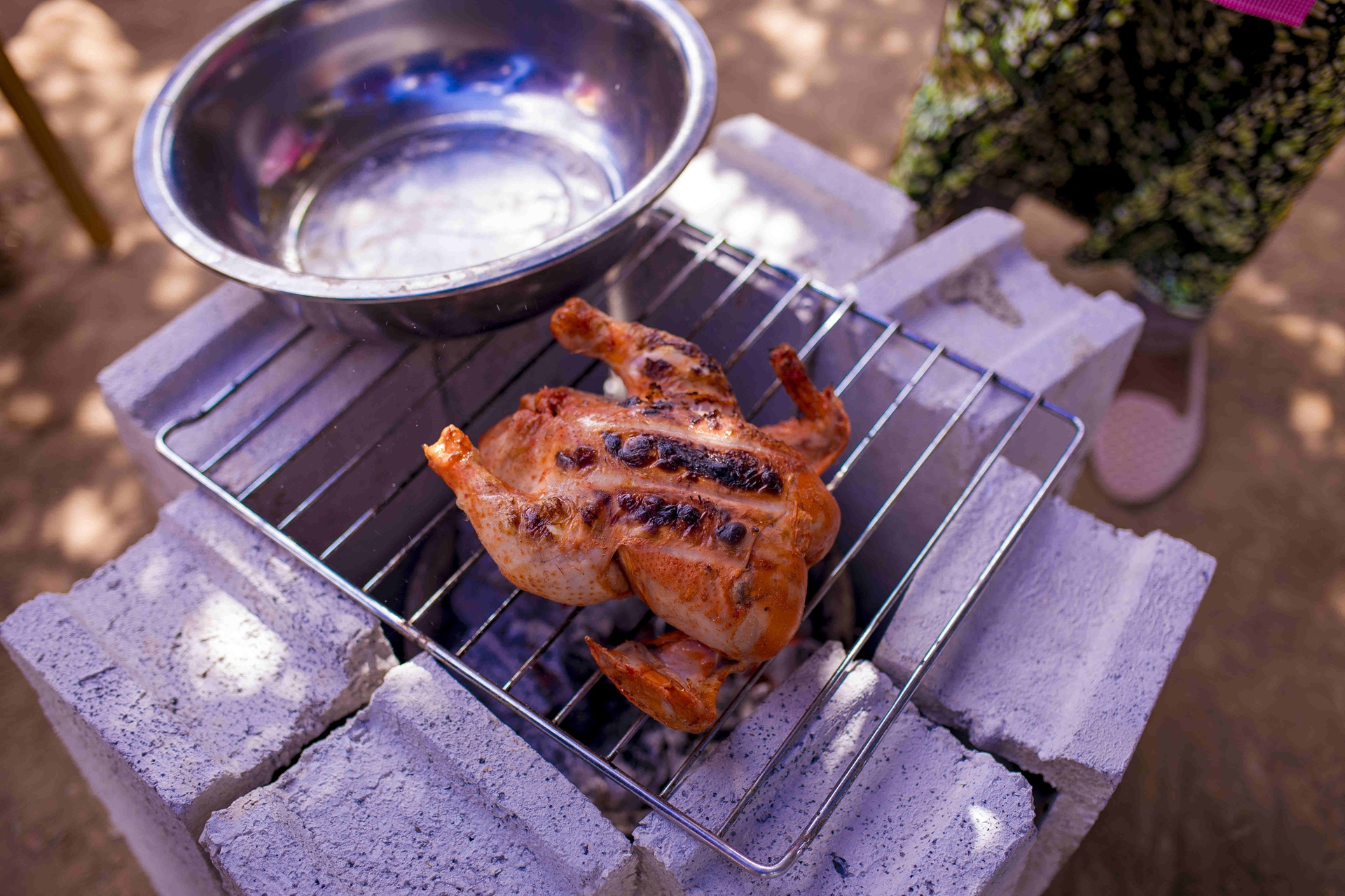 Scholarship recipients spotlight